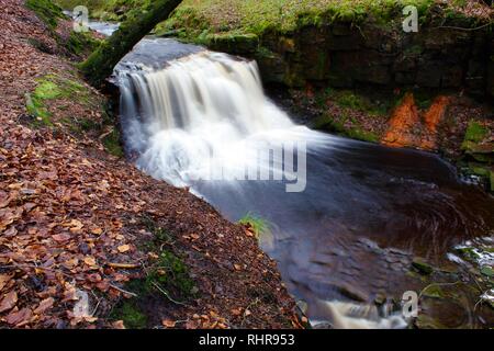 Roddlesworth Holz fällt in der Nähe von Abbey Village in Lancashire, England. Stockfoto