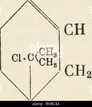 . Biochemie der Pflanzen. Pflanzenphysiologie; Botanische Chemie. CH HaC HCl "^HoC. CH Terpineolchlorhydrat. Bitte beachten Sie, dass diese Bilder sind von der gescannten Seite Bilder, die digital für die Lesbarkeit verbessert haben mögen - Färbung und Aussehen dieser Abbildungen können nicht perfekt dem Original ähneln. extrahiert. Czapek, Friedrich, 1868-1921. Jena: G. Fischer Stockfoto