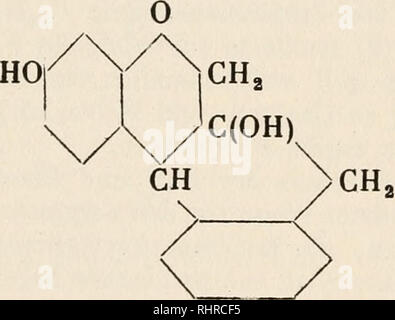 . Biochemie der Pflanzen. Pflanzenphysiologie; Botanische Chemie. . Bitte beachten Sie, dass diese Bilder sind von der gescannten Seite Bilder, die digital für die Lesbarkeit verbessert haben mögen - Färbung und Aussehen dieser Abbildungen können nicht perfekt dem Original ähneln. extrahiert. Czapek, Friedrich, 1868-1921. Jena: G. Fischer Stockfoto