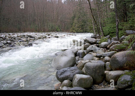 Ein Fluss in British Columbia, Kanada während eines Frühjahr Tauwetter biegen. Lynn River Stockfoto