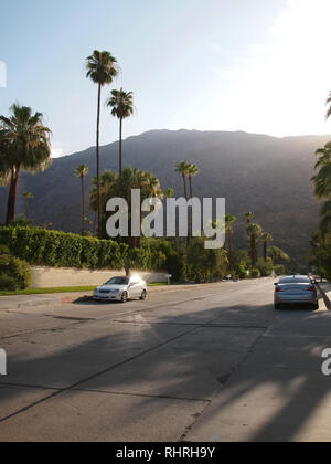 Ein Palm mit Bäumen gesäumten Straße durch ein Wohnquartier in Palm Springs, Kalifornien, am späten Nachmittag in der Nähe des Sunset mit Bergen im Ba Stockfoto