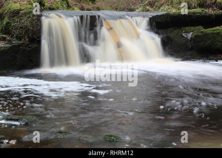 Roddlesworth Holz fällt in der Nähe von Darwen in Lancashire, England. Stockfoto