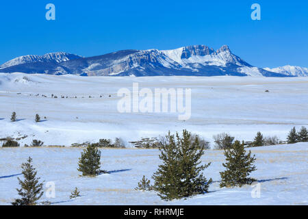 Sägezahn Ridge im Winter entlang der Rocky Mountain Front in der Nähe von Augusta, Montana Stockfoto