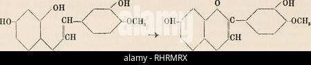 . Biochemie der Pflanzen. Pflanzenphysiologie; Botanische Chemie. 404 SechsundBechz. Kap.: 27.09.05 u. rote Farbstoffe aus der Flavon-u. Anthracengruppe.. 6 Uhr CO Hesperetin6h CO Methyl luteolin Höhle in Flavon- und Xanthonstoffen angenommenen Doppelring 0 Pheno-j'-pyron. Bitte beachten Sie, dass diese Bilder sind von der gescannten Seite Bilder, die digital für die Lesbarkeit verbessert haben mögen - Färbung und Aussehen dieser Abbildungen können nicht perfekt dem Original ähneln. extrahiert. Czapek, Friedrich, 1868-1921. Jena: G. Fischer Stockfoto