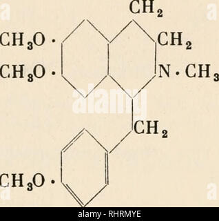 . Biochemie der Pflanzen. Pflanzenphysiologie; Botanische Chemie. OH-CHoO Morphin. OCH 3 Laudanosin CH3O. CH3 O.. Bitte beachten Sie, dass diese Bilder sind von der gescannten Seite Bilder, die digital für die Lesbarkeit verbessert haben mögen - Färbung und Aussehen dieser Abbildungen können nicht perfekt dem Original ähneln. extrahiert. Czapek, Friedrich, 1868-1921. Jena: G. Fischer Stockfoto