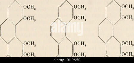 . Biochemie der Pflanzen. Pflanzenphysiologie; Botanische Chemie. § 7. Vom Isochinolin ableitbare Alkaloide. 331 ^.,. , Vinyltetramethoxy - Tetramethoxyphen-a-Äthyl - MetüinDase pbenanthren anthrencarbonsäure pbenanthren. Bitte beachten Sie, dass diese Bilder sind von der gescannten Seite Bilder, die digital für die Lesbarkeit verbessert haben mögen - Färbung und Aussehen dieser Abbildungen können nicht perfekt dem Original ähneln. extrahiert. Czapek, Friedrich, 1868-1921. Jena: G. Fischer Stockfoto