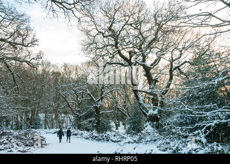 Zwei weit entfernte Zahlen ein Spaziergang durch den verschneiten Wald mit Bäumen im Schnee im warmen Licht am späten Nachmittag in Hampstead Heath, London UK abgedeckt Stockfoto