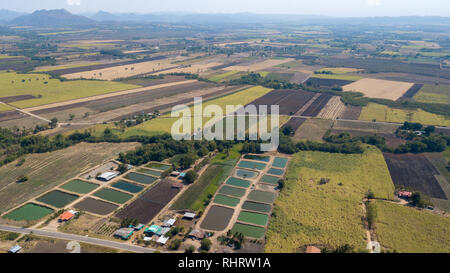 Aeril der Vorbereitung von Zuckerrohr gepflanzt in der Provinz Lop Buri, THAILAND Stockfoto