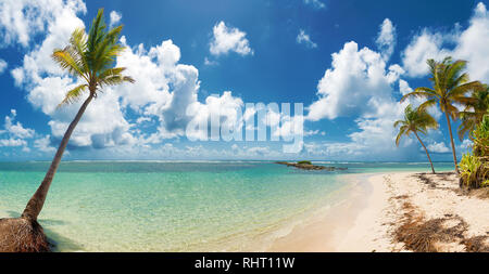 Blauer Himmel, Kokosnüsse, Bäume, türkisfarbenes Wasser und goldenen Sand, Panoramablick auf Caravelle Beach, Saint Anne, Guadeloupe, French West Indies. Stockfoto