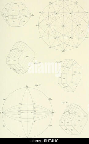 . Bis bihang Kongl. Svenska vetenskaps- akademiens handlingar. Wissenschaft; Botanik. BUiniif/bis K. lct. Aktid. irnmU Bd: 'JV.; Tat: v. Abb. 27. Fuj. 26. l{-T (FF&gt; soe Konstr. Thn-Tyhs Utldj, M. Bitte beachten Sie, dass diese Bilder sind von der gescannten Seite Bilder, die digital für die Lesbarkeit verbessert haben mögen - Färbung und Aussehen dieser Abbildungen können nicht perfekt dem Original ähneln. extrahiert. Kungl. Svenska vetenskapsakademien. Stockholm: K. Svenska vetenskaps-bzw. Stockfoto