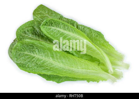 Frische römisch Römischer Salat auf einem weißen Hintergrund. Ansicht von oben. Flach Stockfoto