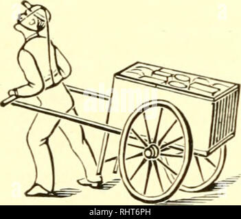 . Biggle Pferd Buch: eine übersichtliche und praktische Abhandlung über das Pferd: auf die Bedürfnisse der Landwirte und andere, die Ein freundlicher Hinweis für diese edlen Diener des Menschen angenommen. Pferde. Ein Wort von Harriet. 109 ständige Sorge und Bekämpfung von Fliegen. Wenn der Mann, der die Rute zu angedockt werden könnte, um das Pferd in seinem gegenwärtigen Zustand gesehen haben würde er bedauerte die Rolle, die er in ihm nahm, wenn er ein Gefühl von Mitleid hatte. Jeder Mann erinnern, wer schneidet Schwanz des Pferdes, schneidet nicht nur die Haare, sondern auch den Stumpf der Schwanz, der einem anderen stumpf wird nicht an seiner Stelle wachsen, und dass das Pferd Stockfoto