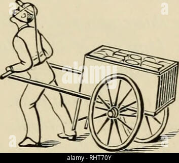 . Biggle Pferd Buch: eine übersichtliche und praktische Abhandlung über das Pferd. Pferde; Pferde; Stall; CHR 1895; PRO Dickson, Anna (Spender); PRO Dickson, Agnes (Spender). Ein Wort von Harriet. IO9 ständige Sorge und Bekämpfung von Fliegen. Wenn der Mann, der die Rute zu angedockt werden könnte, um das Pferd in seinem gegenwärtigen Zustand gesehen haben würde er bedauerte die Rolle, die er in ihm nahm, wenn er ein Gefühl von Mitleid hatte. Jeder Mann erinnern, wer schneidet Schwanz des Pferdes, schneidet nicht nur die Haare, sondern auch den Stumpf der Schwanz, der einem anderen stumpf wird nicht an seiner Stelle wachsen, und dass das Pferd wird prac werden- Stockfoto