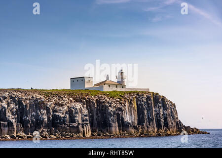 Leuchtturm, Farne Islands, Northumberland, Großbritannien Stockfoto