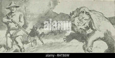 . Großwildjagd in Afrika und in anderen Ländern; das Erscheinungsbild, Gewohnheiten, Charakterzüge und jedes Detail der wildlebenden Tierwelt... Jagd -- Afrika; das Verhalten der Tiere. Liste der Abbildungen. Die großen zwei Hörnern, Weiß Ehinoeeros in Zentralafrika Frontispiz Foto von Lion Face 6 Schießen ein Stier Nashorn auf dem Afrikanischen Velt 7 Der Braunbär in Europa 34 Die Arktis oder Eisbär 35 Eisbären und Cub, Fische zu fangen, die 37 der Mann - essen Grizzly 39 braunen und schwarzen Bären 41 ein perfektes Exemplar der amerikanischen Schwarzen Bär, 43 Snap-shot eines hungrigen Bären 45 Faultiere Essen der Frucht 47 Die Parti Stockfoto