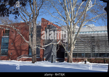 Ansicht des Smith College Museum der Kunst und dem braunen Gebäude mit Blick auf die schönen Künste Neilson Rasen. Stockfoto