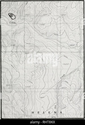 . Sensible pflanze Erhebungen in den Großen Belt und Elkhorn Mountains, U.S.D.A. Forest Service, Region 1, Helena National Forest, Montana. Seltene Pflanzen, seltene Pflanzen, seltene Pflanzen; Botanik; Botanik; Botanik. Polygonum maculata ssp. austinae #007 Sixmile Mt Quad. Bitte beachten Sie, dass diese Bilder sind von der gescannten Seite Bilder, die digital für die Lesbarkeit verbessert haben mögen - Färbung und Aussehen dieser Abbildungen können nicht perfekt dem Original ähneln. extrahiert. Poole, Jackie M; Heidel, Bonnie L; Helena National Forest (Mont. ); Montana natürlichen Erbes Programm. Helena, Mont: Montana Stockfoto