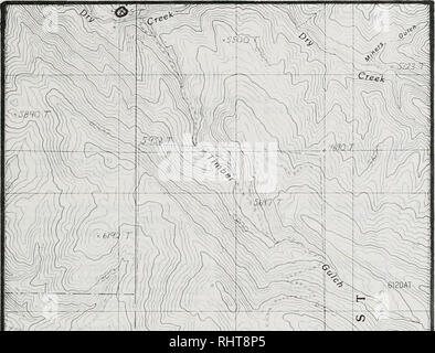 . Sensible pflanze Erhebungen in den Großen Belt und Elkhorn Mountains, U.S.D.A. Forest Service, Region 1, Helena National Forest, Montana. Seltene Pflanzen, seltene Pflanzen, seltene Pflanzen; Botanik; Botanik; Botanik. f;/-^ ""-- ^.;'n5:&gt; i&gt; -^V ' W '^'-^. Bitte beachten Sie, dass diese Bilder sind von der gescannten Seite Bilder, die digital für die Lesbarkeit verbessert haben mögen - Färbung und Aussehen dieser Abbildungen können nicht perfekt dem Original ähneln. extrahiert. Poole, Jackie M; Heidel, Bonnie L; Helena National Forest (Mont. ); Montana natürlichen Erbes Programm. Helena, Mont: Montana Nat Stockfoto