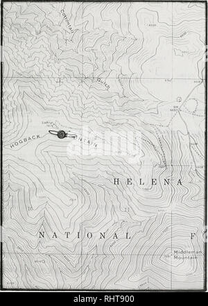 . Sensible pflanze Erhebungen in den Großen Belt und Elkhorn Mountains, U.S.D.A. Forest Service, Region 1, Helena National Forest, Montana. Seltene Pflanzen, seltene Pflanzen, seltene Pflanzen; Botanik; Botanik; Botanik. Lesquerella klausii #030 Hogback Mt Quad. Bitte beachten Sie, dass diese Bilder sind von der gescannten Seite Bilder, die digital für die Lesbarkeit verbessert haben mögen - Färbung und Aussehen dieser Abbildungen können nicht perfekt dem Original ähneln. extrahiert. Poole, Jackie M; Heidel, Bonnie L; Helena National Forest (Mont. ); Montana natürlichen Erbes Programm. Helena, Mont: Montana natürlichen Herita Stockfoto