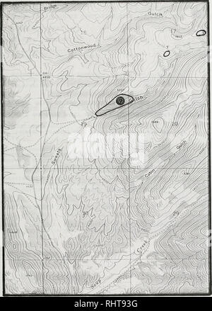 . Sensible pflanze Erhebungen in den Großen Belt und Elkhorn Mountains, U.S.D.A. Forest Service, Region 1, Helena National Forest, Montana. Seltene Pflanzen, seltene Pflanzen, seltene Pflanzen; Botanik; Botanik; Botanik. Lesquerella klausii #017 Nelson Quad. Bitte beachten Sie, dass diese Bilder sind von der gescannten Seite Bilder, die digital für die Lesbarkeit verbessert haben mögen - Färbung und Aussehen dieser Abbildungen können nicht perfekt dem Original ähneln. extrahiert. Poole, Jackie M; Heidel, Bonnie L; Helena National Forest (Mont. ); Montana natürlichen Erbes Programm. Helena, Mont: Montana natürlichen Erbes P Stockfoto