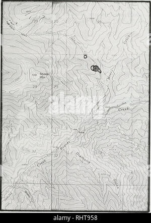 . Sensible pflanze Erhebungen in den Großen Belt und Elkhorn Mountains, U.S.D.A. Forest Service, Region 1, Helena National Forest, Montana. Seltene Pflanzen, seltene Pflanzen, seltene Pflanzen; Botanik; Botanik; Botanik. Lesquerella klausii #015 Hogback Mt Quad. Bitte beachten Sie, dass diese Bilder sind von der gescannten Seite Bilder, die digital für die Lesbarkeit verbessert haben mögen - Färbung und Aussehen dieser Abbildungen können nicht perfekt dem Original ähneln. extrahiert. Poole, Jackie M; Heidel, Bonnie L; Helena National Forest (Mont. ); Montana natürlichen Erbes Programm. Helena, Mont: Montana natürlichen Herita Stockfoto