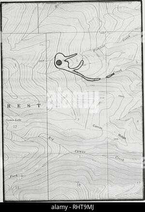 . Sensible pflanze Erhebungen in den Großen Belt und Elkhorn Mountains, U.S.D.A. Forest Service, Region 1, Helena National Forest, Montana. Seltene Pflanzen, seltene Pflanzen, seltene Pflanzen; Botanik; Botanik; Botanik. Cirsium longistylum Nr. 023 Boulder Baldy Quad. Bitte beachten Sie, dass diese Bilder sind von der gescannten Seite Bilder, die digital für die Lesbarkeit verbessert haben mögen - Färbung und Aussehen dieser Abbildungen können nicht perfekt dem Original ähneln. extrahiert. Poole, Jackie M; Heidel, Bonnie L; Helena National Forest (Mont. ); Montana natürlichen Erbes Programm. Helena, Mont: Montana natürlich Ihr Stockfoto