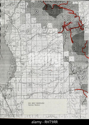 . Sensible pflanze Erhebungen in den Großen Belt und Elkhorn Mountains, U.S.D.A. Forest Service, Region 1, Helena National Forest, Montana. Seltene Pflanzen, seltene Pflanzen, seltene Pflanzen; Botanik; Botanik; Botanik. . Bitte beachten Sie, dass diese Bilder sind von der gescannten Seite Bilder, die digital für die Lesbarkeit verbessert haben mögen - Färbung und Aussehen dieser Abbildungen können nicht perfekt dem Original ähneln. extrahiert. Poole, Jackie M; Heidel, Bonnie L; Helena National Forest (Mont. ); Montana natürlichen Erbes Programm. Helena, Mont: Montana natürlichen Erbes Programm Stockfoto