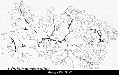 . Die grosse Blackfoot River Restoration Fortschrittsbericht für die Jahre 2002 und 2003. Die Fischpopulationen; Fische ; Fischereiverwaltung ; Forellen Fischerei; Stream Ökologie; Blackfoot River (Mont. ). Obwohl Stierforelle besonders empfindlich auf viele Bedrohungen sind, wirbelnde Krankheit scheint er weniger problematisch für stierforelle als für andere Salmoniden. Verglichen mit WSCT, Regenbogenforelle und Bachforelle, stierforelle weisen eine größere physiologische Resistenz gegen wirbelnde Krankheit (Vincent 2001). 2002 als wirbelnde Krankheit Infektionsraten weiter zu eskalieren, erweiterten wir wirbeln Krankheit Überwachung der stierforelle s Stockfoto