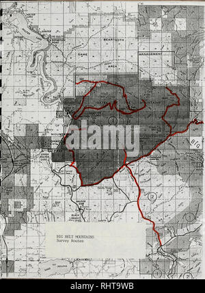 . Sensible pflanze Erhebungen in den Großen Belt und Elkhorn Mountains, U.S.D.A. Forest Service, Region 1, Helena National Forest, Montana. Seltene Pflanzen, seltene Pflanzen, seltene Pflanzen; Botanik; Botanik; Botanik. . Bitte beachten Sie, dass diese Bilder sind von der gescannten Seite Bilder, die digital für die Lesbarkeit verbessert haben mögen - Färbung und Aussehen dieser Abbildungen können nicht perfekt dem Original ähneln. extrahiert. Poole, Jackie M; Heidel, Bonnie L; Helena National Forest (Mont. ); Montana natürlichen Erbes Programm. Helena, Mont: Montana natürlichen Erbes Programm Stockfoto