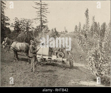 . Bessere Früchte. Obst - Kultur. IQII BESSERE FRÜCHTE Seite 41. Dieses Foto wurde mit Herrn H. W. Pealer's Orchard in Hood River. Die feldspritze verwendet wird der "Neue Weg" 2 Zylinder Erfolg. Foto lieh uns durch die neue Art Motor Company, Lansing, Michigan Hood River, Oregon, 5. Juni 1911. Herr Staver, John Deere Pflug Unternehmen, Portland, Oregon. Sehr geehrte Damen und Herren: Ich habe Ihnen zwei Fotos von der Feldspritze; Ich denke, daß sie gut sind. Ich nutze die Möglichkeit, Ihnen zu sagen, was ich denke, der "neue Weg" Erfolg der Feldspritze. Ich habe es laufen viel auf alle Arten von Boden, einige der steilsten Hangausgleich in Stockfoto