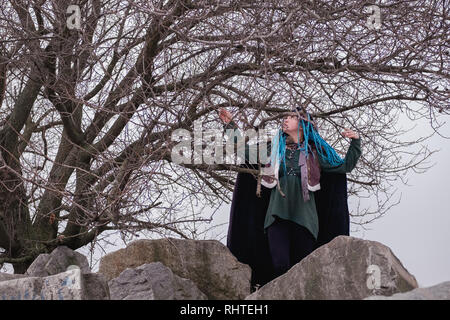 Nachdenkliches Mädchen mit blauen Haaren Dreadlocks in den Wäldern auf den Felsen. Frau Viking unter den Bäumen Träumen und in die Ferne schaut Stockfoto