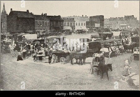 . Bessere Früchte. Obst - Kultur. Kartoffel VERSAND, einem führenden Industrie, Louisville, Kentucky in der Apple Linie, ging auf dem Markt alle auf einmal; Anfang Herbst Äpfel, wie Jonathans und einige der anderen Sorten von früher Winter Äpfel, ging auf dem Markt gleichzeitig. Der Markt wurde kontinuierlich in den grossen Zentren durch den Winter äpfel Stapeln recht nn zusätzlich zu jenen für den sofortigen Einsatz. Es schien eine Eindruck von sehr vielen Menschen, die die besten Märkte in den Vereinigten Staaten waren Chicago und New York -, glaube ich, möglicherweise aufgrund der Tatsache, dass Wenatchee und Yakima, Haube Rive. Stockfoto