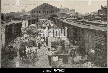 . Bessere Früchte. Obst - Kultur. Bessere Früchte. Kartoffel VERSAND, einem führenden Industrie, Louisville, Kentucky in der Apple Linie, ging auf dem Markt alle auf einmal; Anfang Herbst Äpfel, wie Jonathans und einige der anderen Sorten von früher Winter Äpfel, ging auf dem Markt gleichzeitig. Der Markt wurde kontinuierlich in den grossen Zentren durch den Winter äpfel Stapeln recht nn zusätzlich zu jenen für den sofortigen Einsatz. Es schien eine Eindruck von sehr vielen Menschen, die die besten Märkte in den Vereinigten Staaten waren Chicago und New York -, glaube ich, möglicherweise aufgrund der Tatsache, dass Wenatchee und Yak. Stockfoto