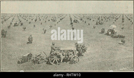 . Bessere Früchte. Obst - Kultur. Bessere FRÜCHTE Pionier Gartenbau Amtsblatt der Pazifischen Nordwesten eingegeben als zweiter Klasse Sache April 22, 1918, an der Post in Portland, Oregon, unter dem Gesetz des Kongresses vom März 3, 1879 Band XVI PoKTLANu, Oregon, September, 1921 Nummer 3 Macht der Landwirtschaft Sieg im Obstgarten von H. M. Boland der Kalifornien Pfirsich und Abb. Growers' Association^ iiiiiiiiiitiiiniiiuiiuiiiiiiiiiiiimiiiiuiuiiiitiiiiiiiiiiHiiiniiiiiiiiiiiiiiniiiriiiiiiiiiiiiiiiii ich Die frediction, dass die Sa7 ne EG - 1 onomic Kräfte, die das Pferd, das ich den Ochsen im neunzehnten Ablösen verursacht Stockfoto