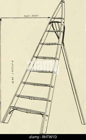 . Bessere Früchte. Obst - Kultur. Der Nordwesten Standard die Leiter von orehardists in den Vereinigten Staaten gewählt, weil es leicht ist und gut gebaut. Bastian gerade Primer Warum vergeuden Sie Ihre Zeit mit einem alten Stil Gartenschere, wenn Sie mit dem Bastian und Ihre Bäume mit Leichtigkeit in der Hälfte der Zeit zu beschneiden? Verkauft für weniger Geld als bei jedem anderen Pruner auf dem Markt, wenn man bedenkt, Qualität und Verarbeitung.. Bitte beachten Sie, dass diese Bilder aus gescannten Seite Bilder, die digital für die Lesbarkeit verbessert haben mögen - Färbung und Aussehen dieser Abbildungen können nicht Perfekt r extrahiert werden Stockfoto