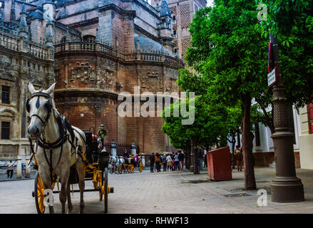 Pferdekutsche in Sevilla, der Giralda Kathedrale und Touristen im Hintergrund Stockfoto