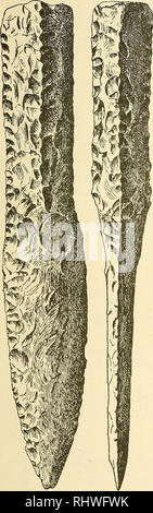 . Bergens Museen aarbog. Wissenschaft. 1907 Novoes vestlands stenalder. 89 Flintpile. Allerede unter avsnittet om bopladse naevnes de vigtigste Ehemalige. Resumeres Disse, vil vi den Følgende System:. Abb. 55. B. 5047. Storesand. Torvestad, Stav. 3.' ... Bitte beachten Sie, dass diese Bilder sind von der gescannten Seite Bilder, die digital für die Lesbarkeit verbessert haben mögen - Färbung und Aussehen dieser Abbildungen können nicht perfekt dem Original ähneln. extrahiert. Bergens Museum. Bergen: [Museum] Stockfoto