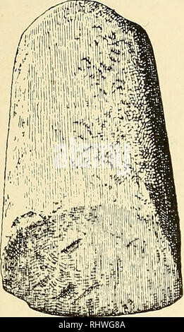 . Bergens Museen aarbog. Wissenschaft. 1907] Norges Vestlands Stenalder 45 Typen er aldrig - fundet på boplads, og "omvendt er Vespe - stadtypen øxer av-kun 3 Gange fundne udenfor bopladserne. Øxerne av. Abb. 36. Grude, Klep, Stav. B. in der 205. Vi. Bitte beachten Sie, dass diese Bilder sind von der gescannten Seite Bilder, die digital für die Lesbarkeit verbessert haben mögen - Färbung und Aussehen dieser Abbildungen können nicht perfekt dem Original ähneln. extrahiert. Bergens Museum. Bergen: [Museum] Stockfoto