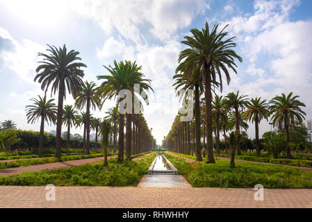 Panorama von Palmen in der Arabischen Liga Park (Parc de la Ligue Arabe) in Casablanca, Marokko. Hauptattraktion und schönen grünen Garten Stockfoto