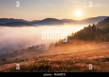 Landschaft mit Sonne, Wiese, Wald und Gebirge. Stockfoto