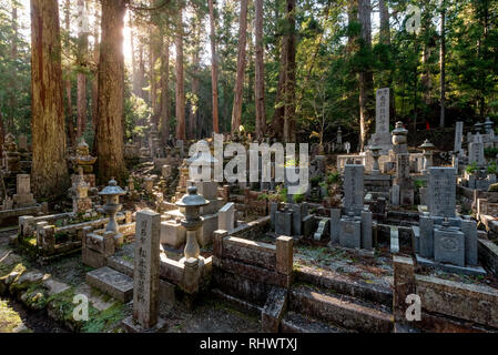 Mystische Okunoin Friedhof im Wald von Koyasan Stockfoto