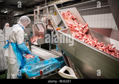 Garrel, Deutschland. 04 Feb, 2019. Mitarbeiter des Schlachthofs Böseler-Goldschmaus Arbeit am Fließband während des Besuches des Ministerpräsidenten von Niedersachsen. Credit: mohssen Assanimoghaddam/dpa/Alamy leben Nachrichten Stockfoto