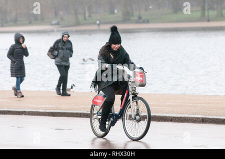 London, Großbritannien. 4 Feb, 2019. Nass Montag in London Hyde Park. Credit: JOHNNY ARMSTEAD/Alamy leben Nachrichten Stockfoto