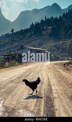 Tp. 7 Nov, 2018. Hà Giang, Vietnam - ein Huhn über die Straße in den Ha-Bande. Credit: Daniel Dohlus/ZUMA Draht/Alamy leben Nachrichten Stockfoto