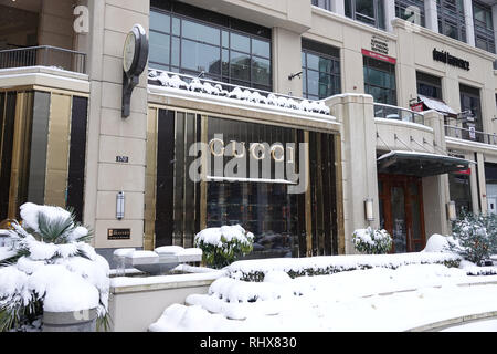 Bellevue, WA, USA. 4 Feb, 2019. Bellevue ist eingeschneit. Pflanzen in der Nähe von Hopfen in Einkaufszentrum Bravern" im Schnee Stockfoto