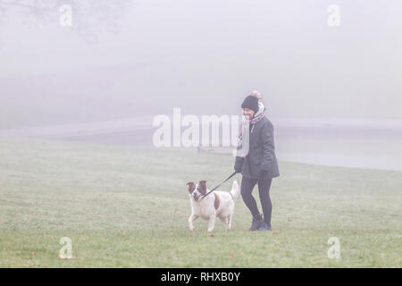 Northampton. Großbritannien am 5.Februar 2019. Eine misty Start in den Tag für Hund Wanderer in Abinton Park. Credit: Keith J Smith./Alamy leben Nachrichten Stockfoto