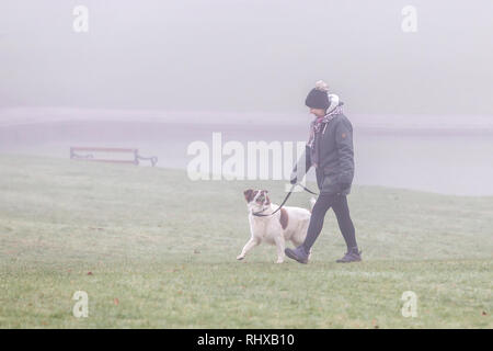 Northampton. Großbritannien am 5.Februar 2019. Eine misty Start in den Tag für Hund Wanderer in Abinton Park. Credit: Keith J Smith./Alamy leben Nachrichten Stockfoto