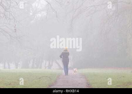 Northampton. Großbritannien am 5.Februar 2019. Eine misty Start in den Tag für Hund Wanderer in Abinton Park. Credit: Keith J Smith./Alamy leben Nachrichten Stockfoto