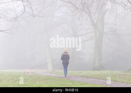 Northampton. Großbritannien am 5.Februar 2019. Eine misty Start in den Tag für Hund Wanderer in Abinton Park. Credit: Keith J Smith./Alamy leben Nachrichten Stockfoto