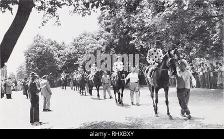 . Belmont Park, 1905-1968. Rennstrecken (Pferderennen). Alte Knochen: Eine der größten Thoroughbreds geholfen, "der Angriff" ein $ 30.000.000 Erfolg an der Belmont Park in 1943. Exterminator, 28, kam aus Ruhestand zu Parade an der Schiene. Hier erfahren Sie, wie Sie alte Knochen zu Hause zu der Zeit sah - mit Erdnüssen, sein Pony Maskottchen.. Schöne Belmont: Das fahrerlager, geräumig und schattigen, war schon immer ein beliebter Ort ivith Racing Fans an der alten Strecke. Post Paraden gestartet von Walking Rückruf von Ständen und Aficionados gesäumt Zaun für Nahaufnahmen von Pferden. 52. Bitte beachten Sie, dass diese Bilder sind ext Stockfoto